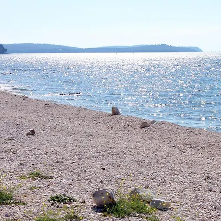 Family Friendly House With A Swimming Pool Butkovici, Istria - Sredisnja Istra - 22788 Holiday home Svetvincenat