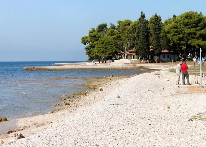 Σπίτι διακοπών Family Friendly House With A Swimming Pool Butkovici, Istria - Sredisnja Istra - 22788 *